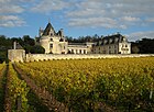Het kasteel van Brézé, met wijngaard op de voorgrond
