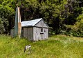 * Nomination Cecil Kings Hut, Wangapeka Track, Kahurangi --Podzemnik 00:06, 12 April 2020 (UTC) * Promotion  Support Good quality. --XRay 06:17, 12 April 2020 (UTC)