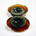 Century egg sliced open.jpeg