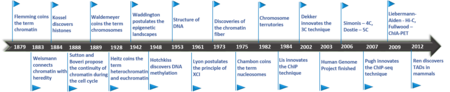 Tập_tin:Chromatin_study_history.png