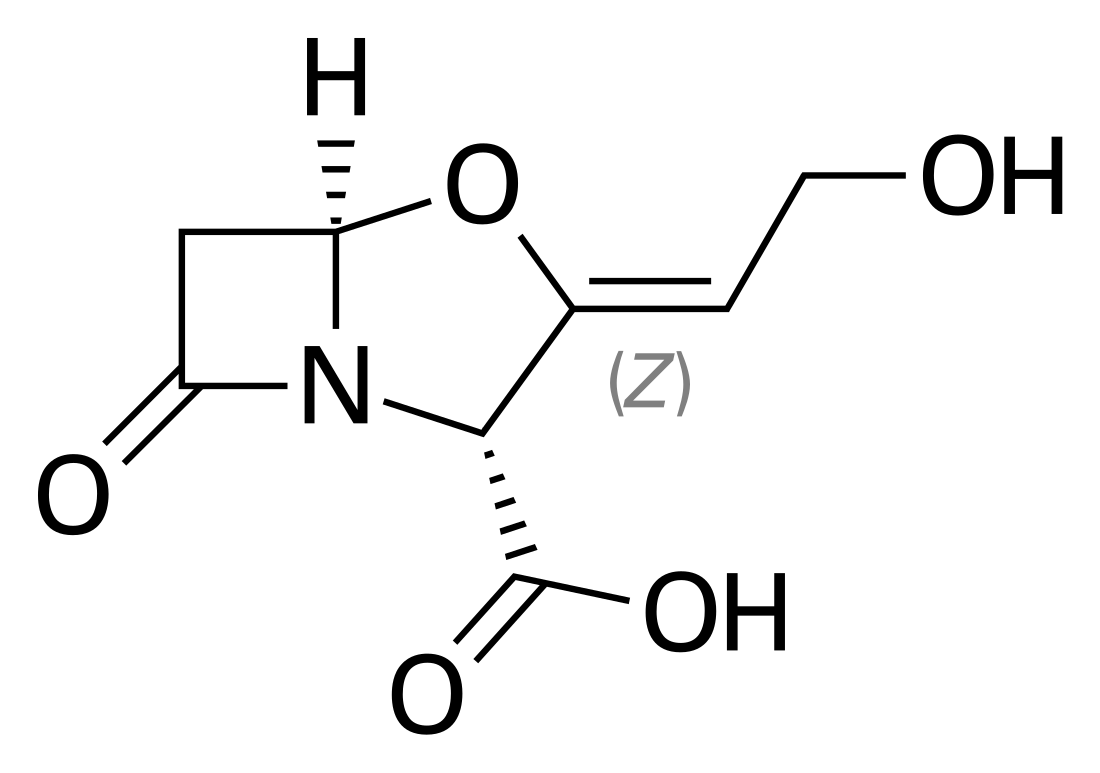 Β-Lactamase inhibitor