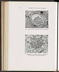 Thumbnail for File:Collected Studies on the Pathology of War Gas Poisoning - DPLA - 7c26adc4cb97e88f92485ae74a5b2dfd (page 1).jpg