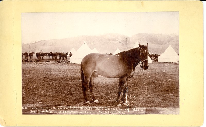File:Comanche with tents in the background (0efd9825666c46c1b2f1626d1ee5afb6).tif