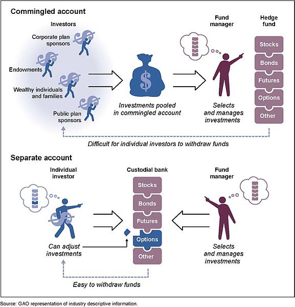 File:Comparison of Commingled and Separate Accounts.jpg