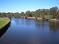 Cooks River Earlwood.JPG