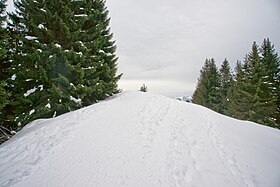 Summit v Corbettě.