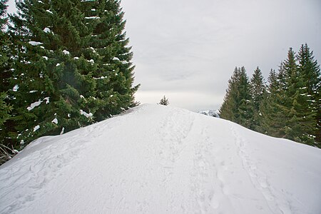 Corbetta (Fribourg)