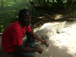 Land Gambia: Geschiedenis, Huidige situatie, Geografie