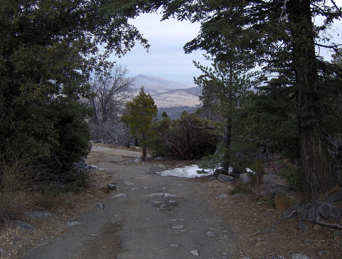 Pico Cuyamaca