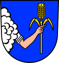Brasão de Sulzfeld