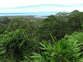 Queensland tropical rain forests - Wikipedia