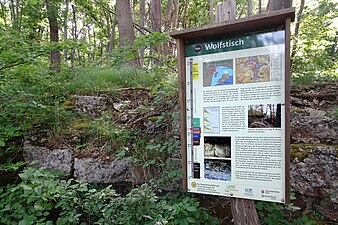 Die dolomitischen Kalke aus dem Bereich der Terebratelbänke wurden hier für die Zementherstellung abgebaut