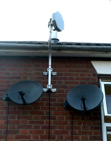 File:Dish of the day, Peckham Street - geograph.org.uk - 950334.jpg