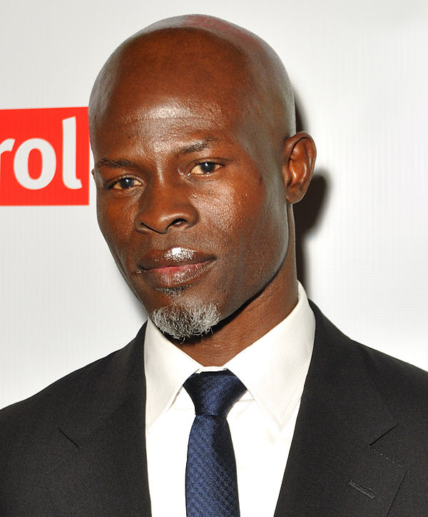 Hounsou at Final DipCon Opening Reception in 2013