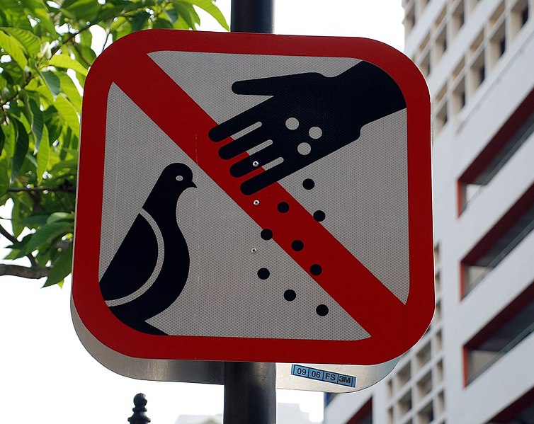 File:DoNotFeedthePigeonsSign-Singapore-20070414.jpg