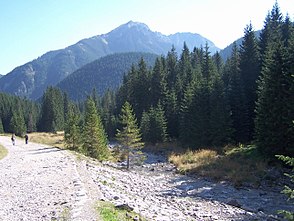 Wanderweg am Chochołowski Potok