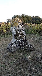 Vignette pour Menhir de la Grande Pierre