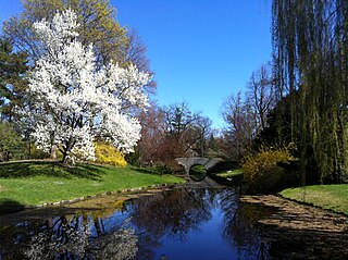 <span class="mw-page-title-main">Dow Gardens</span> Protected garden in Michigan, United States