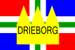 Vlag van Drieborg