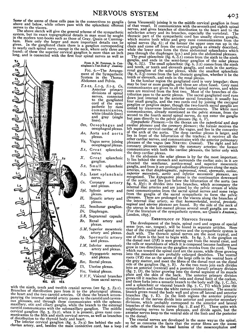 EB1911 - Volume 19.djvu