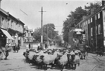 Earlham Road, Norwich