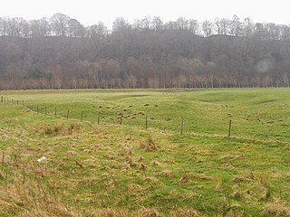 <span class="mw-page-title-main">Liddel Strength</span> Ancient monument in England