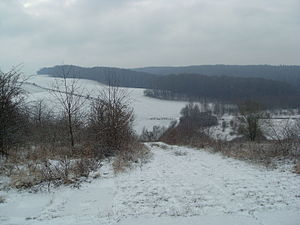 View from the northern Klosterberg over the Lindenbeek valley towards the Duderstädter Wald