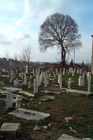 فائل:Edirne Graveyard 7345 Nevit.JPG