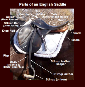 Parts of an English saddle EnglishSaddleParts.png