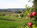 Eschelbronn Panorama(1)