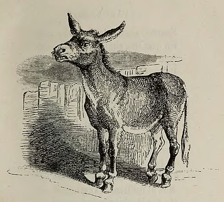 Fábulas de Samaniego (1882) (page 7 crop).jpg