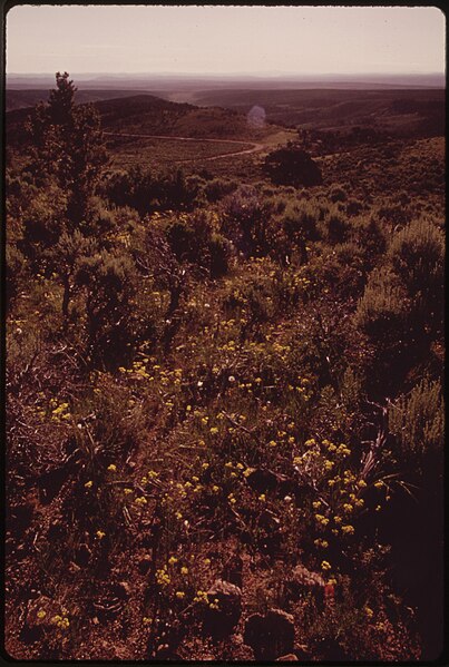 File:FEDERAL OIL SHALE LEASE SITE IN PICEANCE BASIN, SEMI-ARID LAND COVERED WITH SAGEBRUSH AND SMALL PINON AND JUNIPER TREES - NARA - 552549.jpg