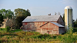 Red and white barn amongst shrubs and trees.