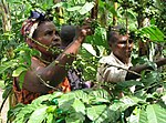 Thumbnail for Coffee production in Uganda