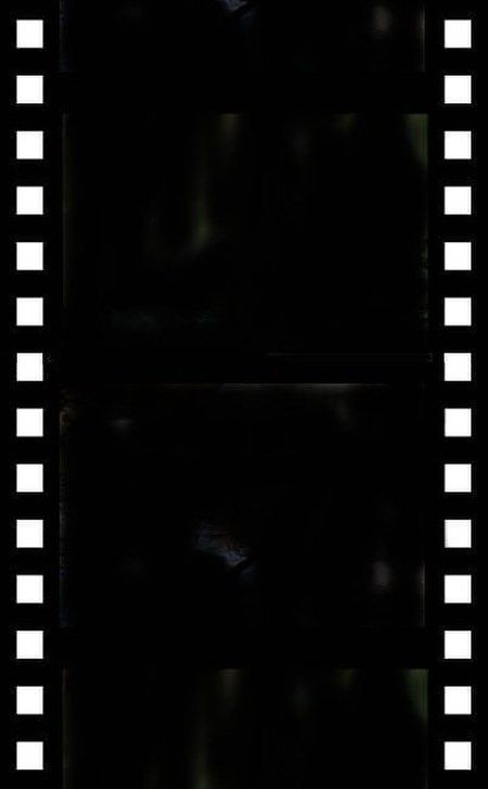 FilmStrip.jpg