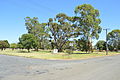 English: Diggers Park in Finley, New South Wales