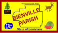 Flag of Bienville Parish, Louisiana