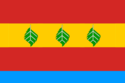 Flag of Uralsky