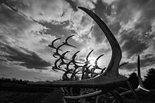 Foto van het ongevalsmonument, met de 49 doden door 49 vogels die wegvliegen op een sculptuur.