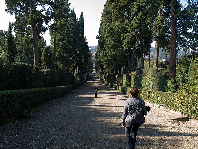 File:Florence (3366039374).jpg