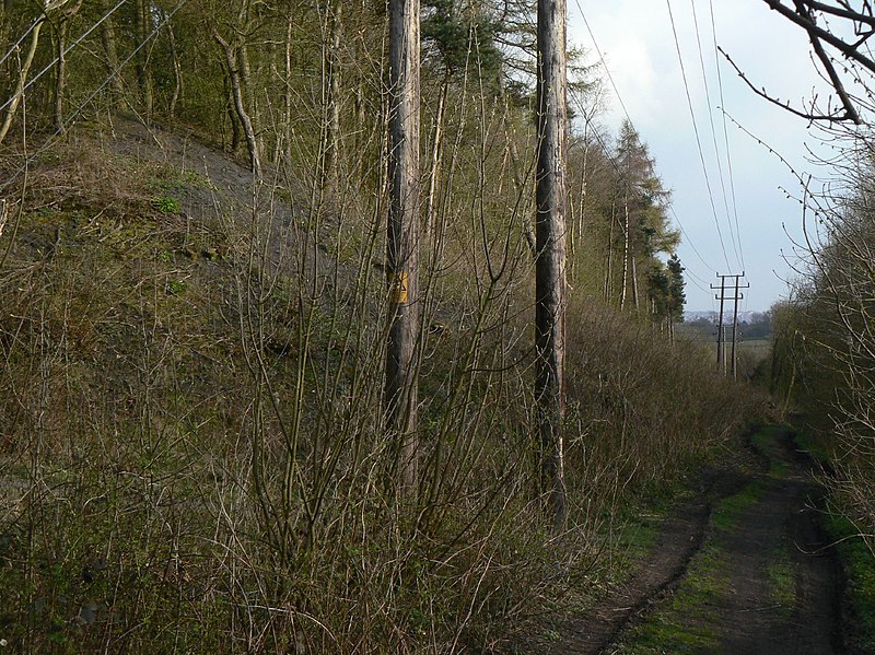 File:Footpath at Codnor Gate - geograph.org.uk - 1805402.jpg