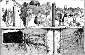 A 1939 conceptual illustration showing various ways that typhoid bacteria can contaminate a water well (center) ForskeligeVeje ad hvilkenBroen kan inficeres medTyfusbaciller.png