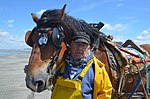 Vignette pour Cheval en Belgique