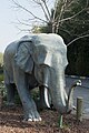 Gaziantep Zoo Elephant along road