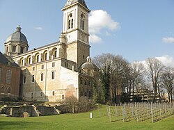 Nově vysazené vinice před Sint-Pieterskerk na Blandijnbergu (2010)