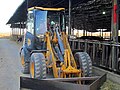 The cowshed in kibbutz Gezer, Israel. JSB tractor.