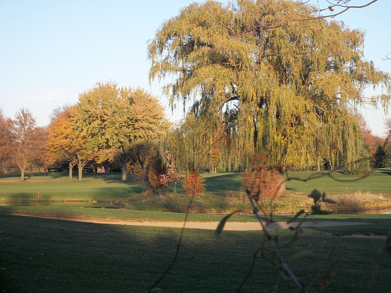 File:Golf Course - panoramio (1).jpg