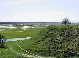 Starijas Čartorijskas pilskalns