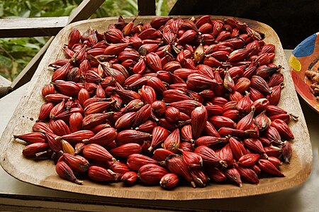 Tập_tin:Grainsofparadisefruits.jpg