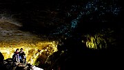 Thumbnail for Waitomo Glowworm Caves